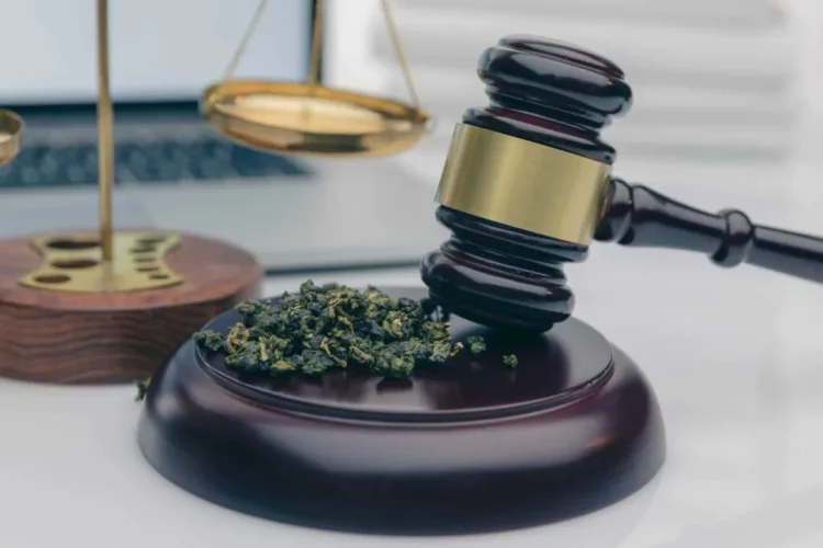 A wooden judge’s gavel resting on its sound block beside a small pile of dried cannabis buds, with a brass scale of justice and a laptop blurred in the background A wooden judge